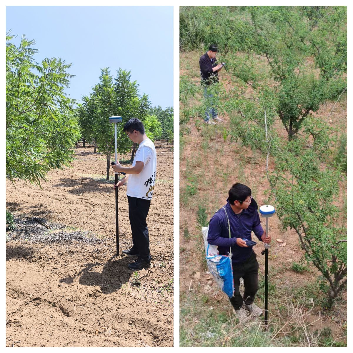 1754270500_9188.jpg 1754270500_9188.jpg