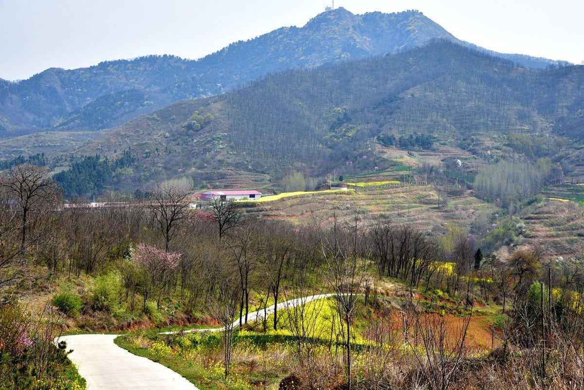 1755824914_8431.jpg 1755824914_8431.jpg