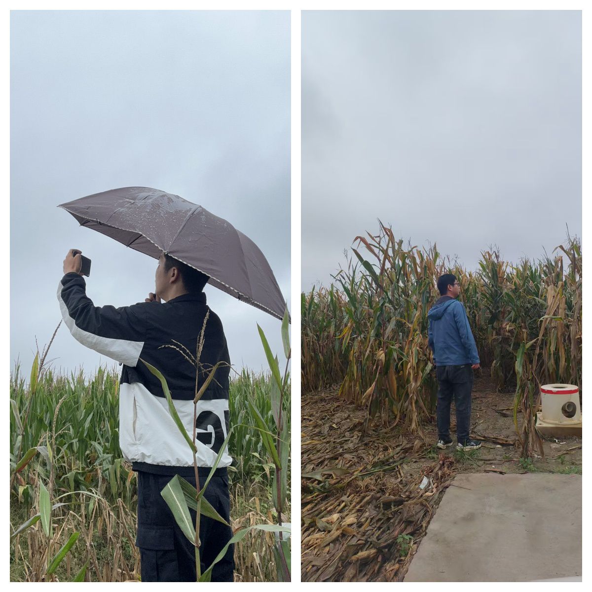 1758792254_8415.jpg 1758792254_8415.jpg