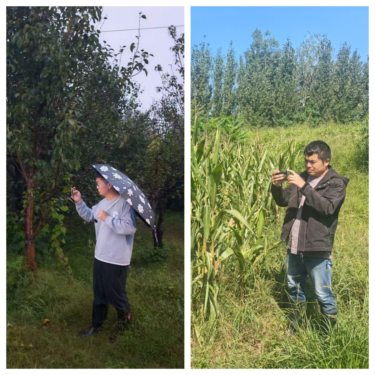 1758792273_4061.jpg 1758792273_4061.jpg